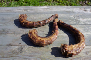 Kalkkunan kaula