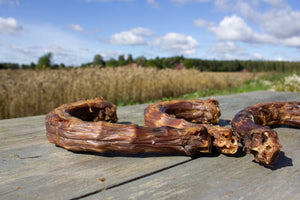 Kuivattu broilerin kaula, erinomainen herkku/välipala koiralle